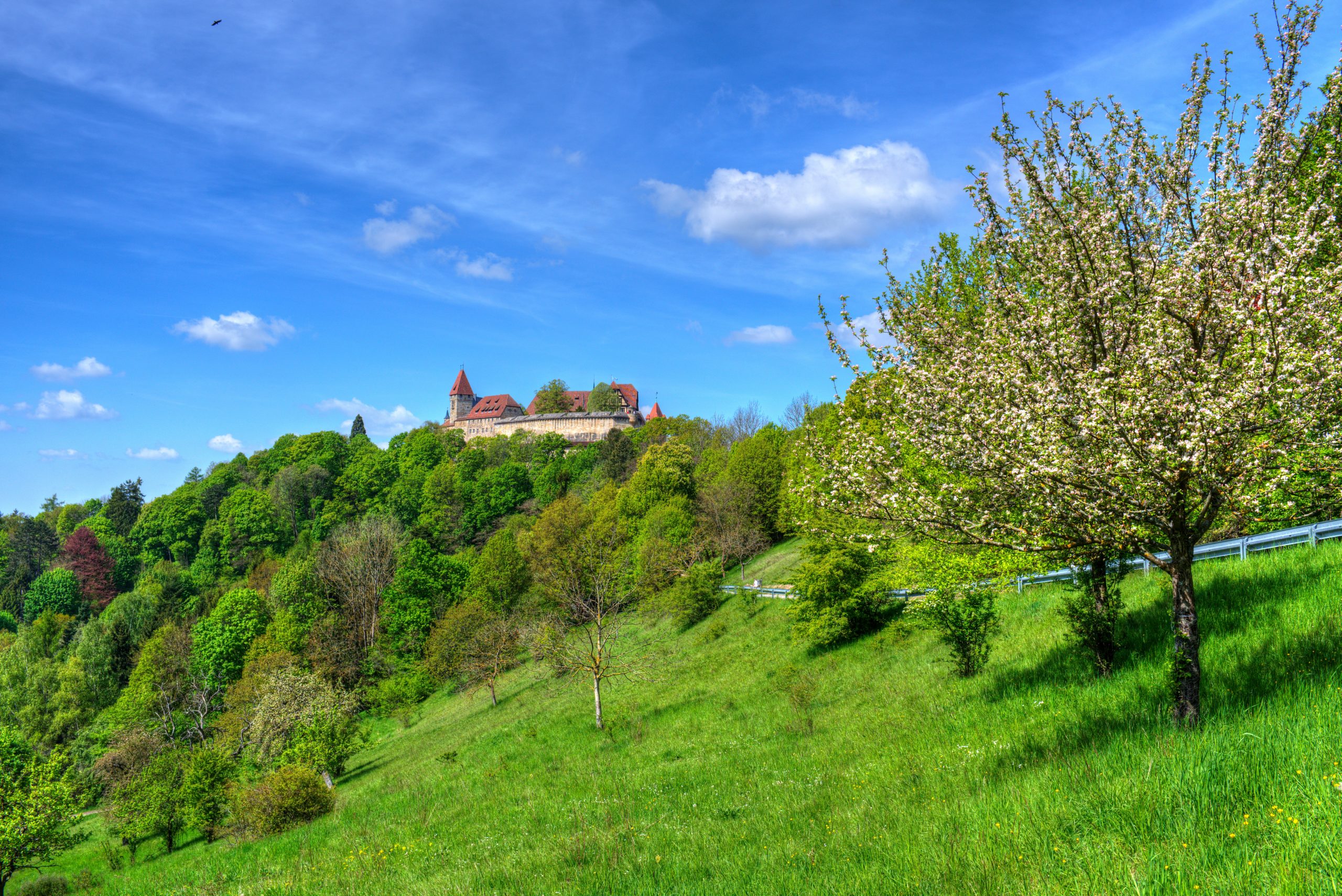 Schädlingsbekämpfung Coburg